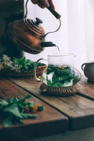 DETOX_HEPaTICO_HERBAL